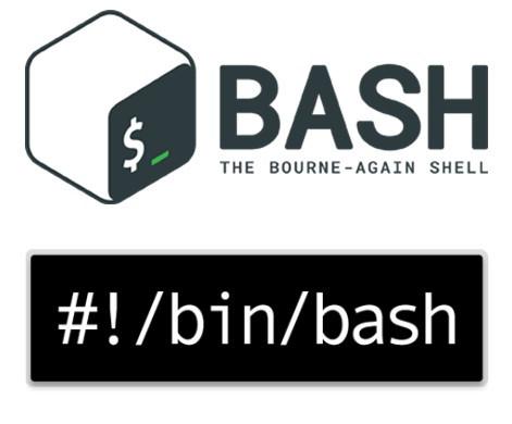 Bash 脚本教程